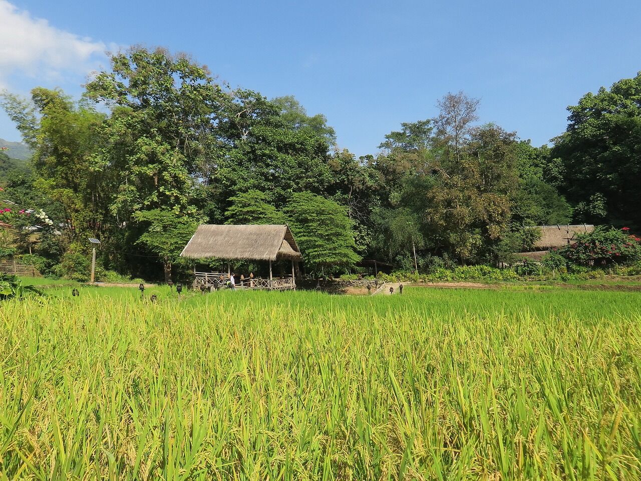Connect with local communities in northern Laos